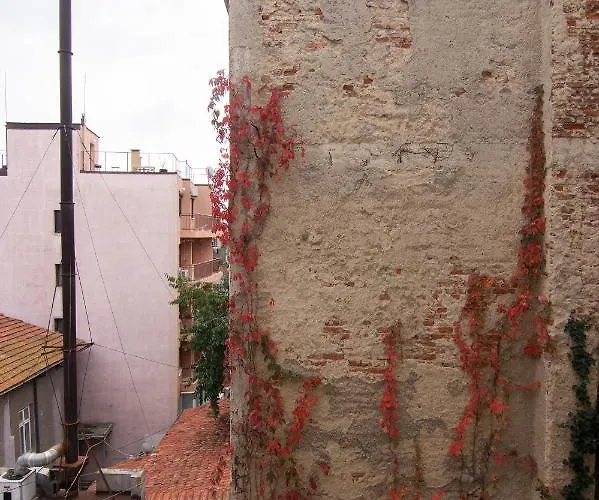 Location In Center And Paid Parking